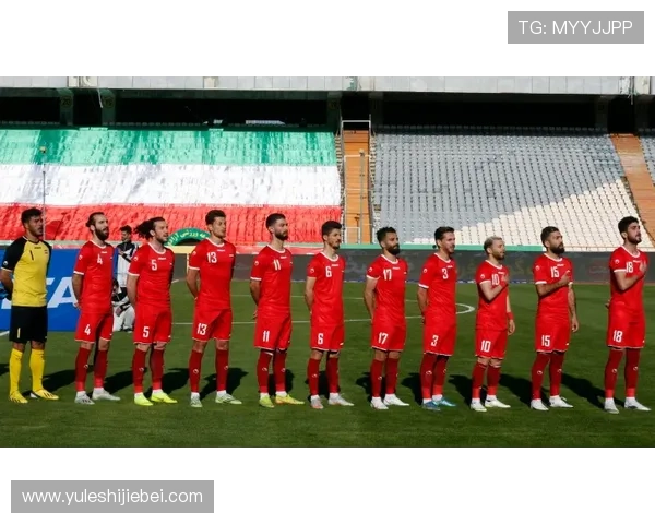 巴西世界杯：球迷狂欢与足球精神的完美展现与深刻影响