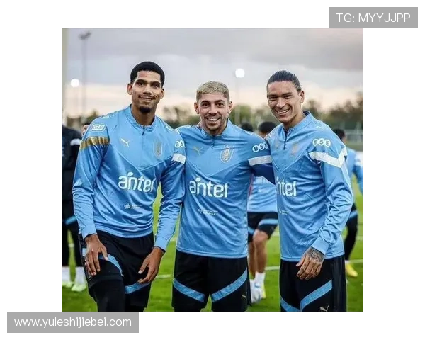 欧洲世界杯名额分配中存在的不公平现象及其可能的解决方案探讨 欧洲世界杯名额分配中存在的不公平现象及其可能的解决方案探讨