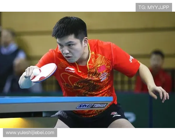 世界杯乒乓球赛举办周期变化趋势分析，何时是下一次比赛的最佳时间